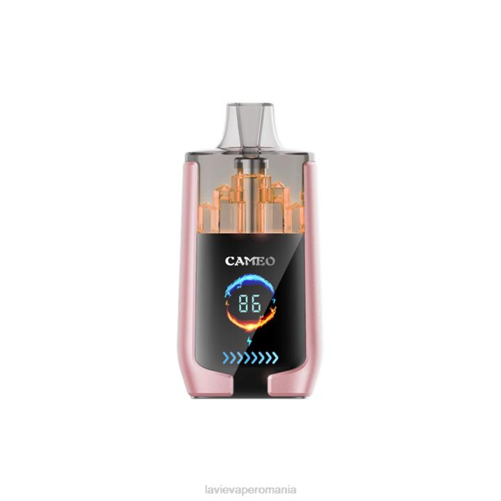N88V19 Lavie Vape Price | fructe tropicale LAVIE CAMEO 30000 de pufuri
